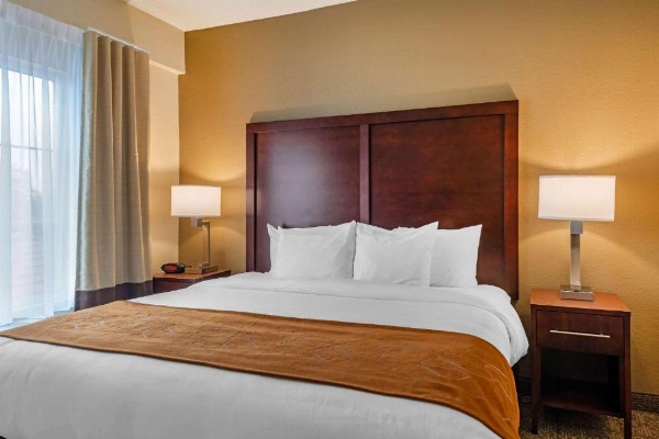 Comfort Suites Downtown Orlando image 22